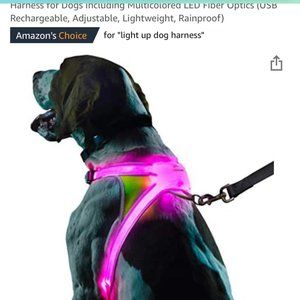Noxgear Lighthound